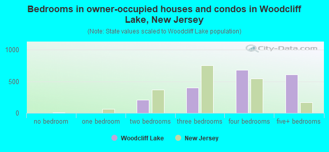 Bedrooms in owner-occupied houses and condos in Woodcliff Lake, New Jersey