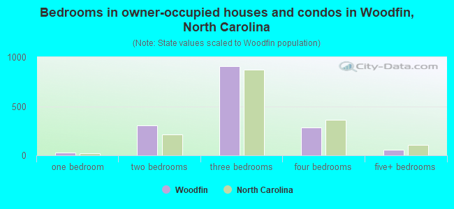 Bedrooms in owner-occupied houses and condos in Woodfin, North Carolina