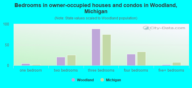 Bedrooms in owner-occupied houses and condos in Woodland, Michigan