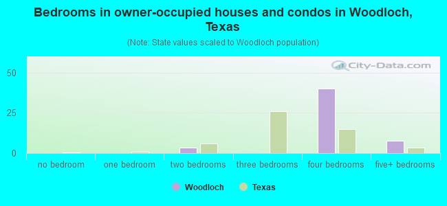 Bedrooms in owner-occupied houses and condos in Woodloch, Texas