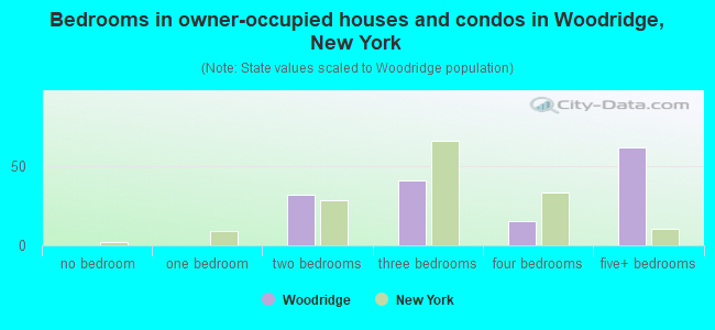 Bedrooms in owner-occupied houses and condos in Woodridge, New York
