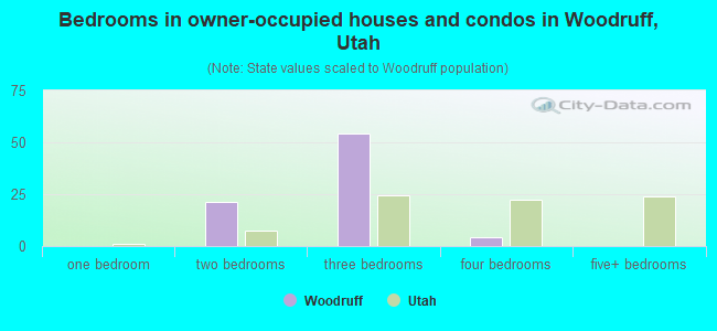 Bedrooms in owner-occupied houses and condos in Woodruff, Utah