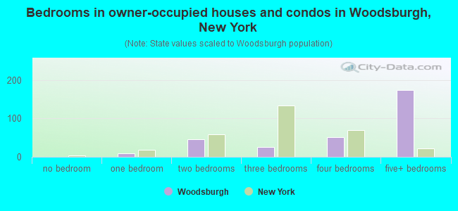 Bedrooms in owner-occupied houses and condos in Woodsburgh, New York