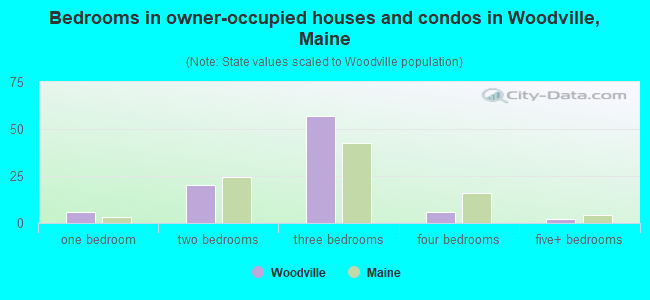 Bedrooms in owner-occupied houses and condos in Woodville, Maine