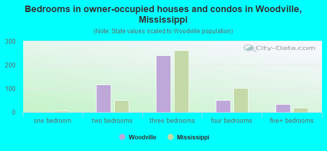 Bedrooms in owner-occupied houses and condos in Woodville, Mississippi