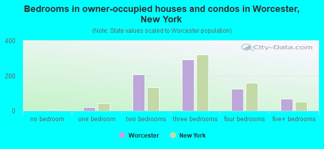 Bedrooms in owner-occupied houses and condos in Worcester, New York