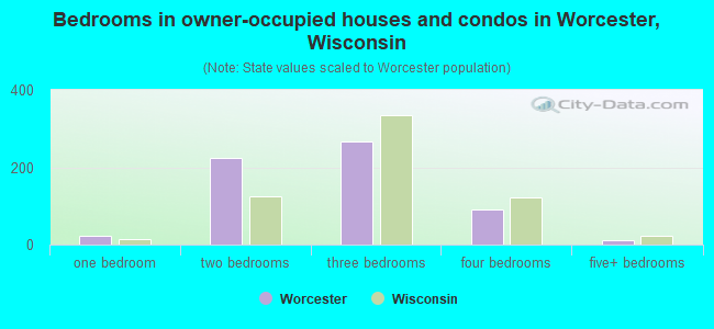 Bedrooms in owner-occupied houses and condos in Worcester, Wisconsin