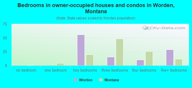 Bedrooms in owner-occupied houses and condos in Worden, Montana