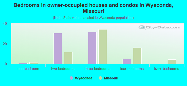 Bedrooms in owner-occupied houses and condos in Wyaconda, Missouri