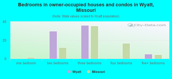 Bedrooms in owner-occupied houses and condos in Wyatt, Missouri