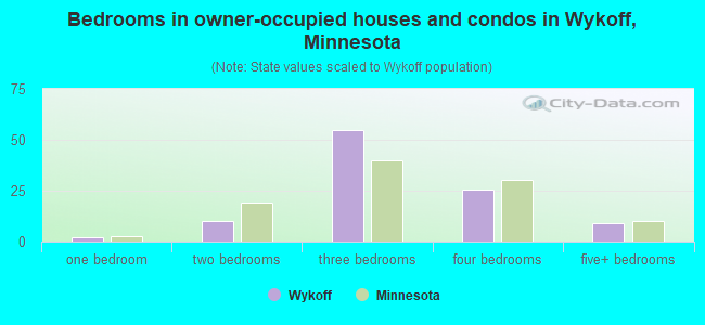 Bedrooms in owner-occupied houses and condos in Wykoff, Minnesota