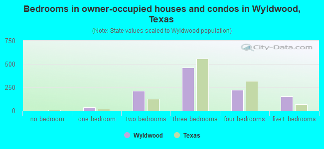 Bedrooms in owner-occupied houses and condos in Wyldwood, Texas