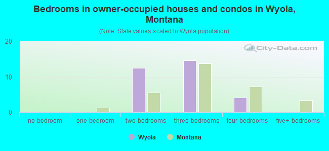 Bedrooms in owner-occupied houses and condos in Wyola, Montana