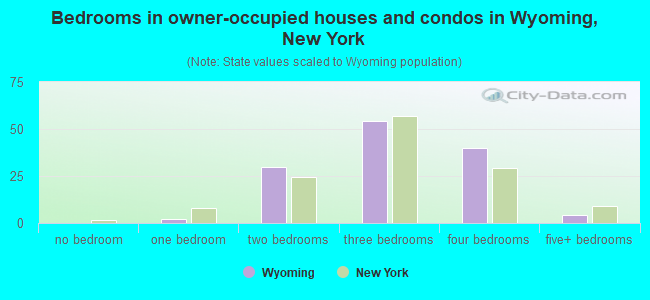 Bedrooms in owner-occupied houses and condos in Wyoming, New York