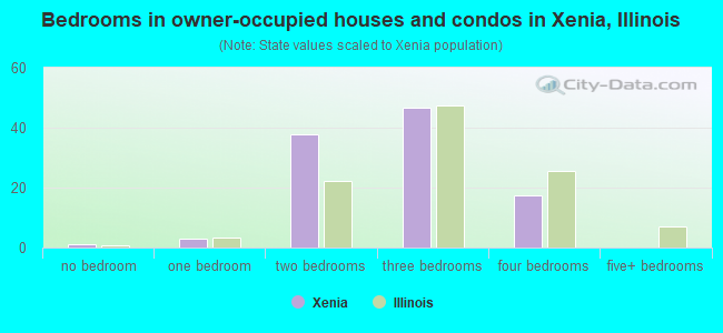 Bedrooms in owner-occupied houses and condos in Xenia, Illinois