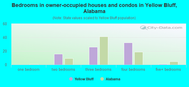 Bedrooms in owner-occupied houses and condos in Yellow Bluff, Alabama