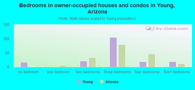 Bedrooms in owner-occupied houses and condos in Young, Arizona