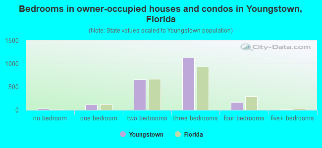 Bedrooms in owner-occupied houses and condos in Youngstown, Florida