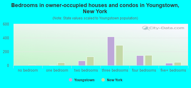 Bedrooms in owner-occupied houses and condos in Youngstown, New York