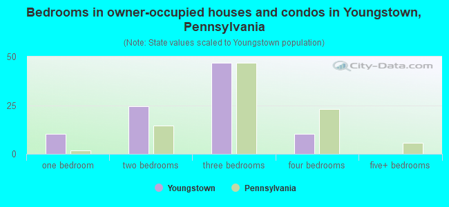 Bedrooms in owner-occupied houses and condos in Youngstown, Pennsylvania