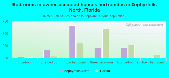 Bedrooms in owner-occupied houses and condos in Zephyrhills North, Florida