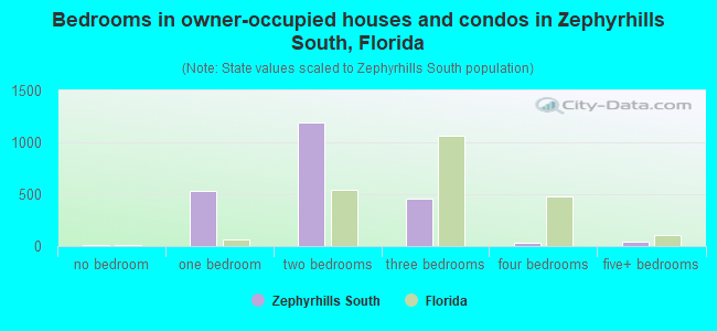 Bedrooms in owner-occupied houses and condos in Zephyrhills South, Florida