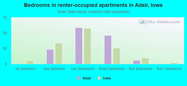 Bedrooms in renter-occupied apartments in Adair, Iowa