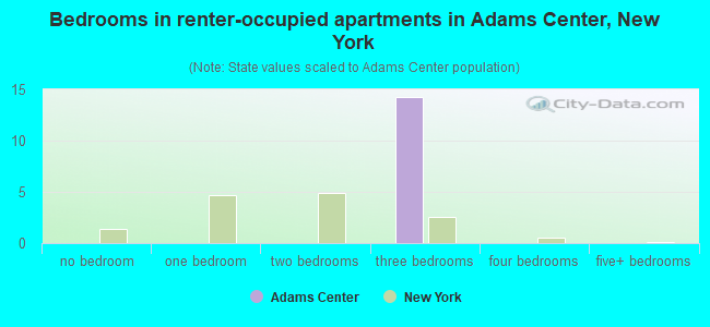 Bedrooms in renter-occupied apartments in Adams Center, New York