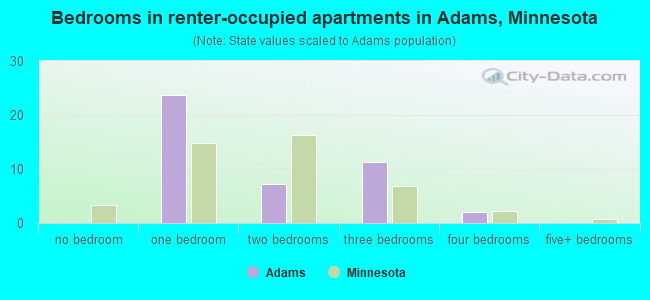 Bedrooms in renter-occupied apartments in Adams, Minnesota