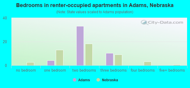 Bedrooms in renter-occupied apartments in Adams, Nebraska