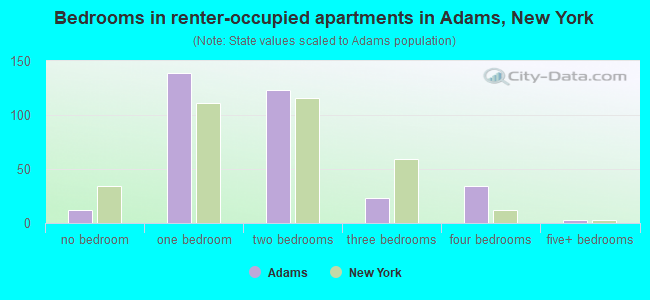 Bedrooms in renter-occupied apartments in Adams, New York