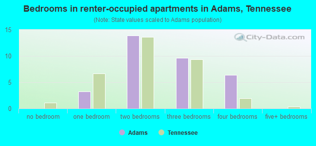 Bedrooms in renter-occupied apartments in Adams, Tennessee