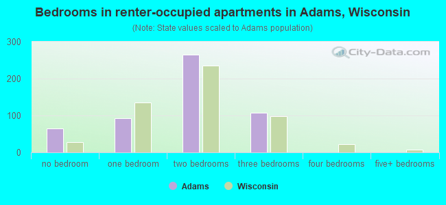 Bedrooms in renter-occupied apartments in Adams, Wisconsin