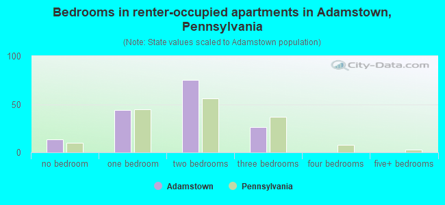 Bedrooms in renter-occupied apartments in Adamstown, Pennsylvania
