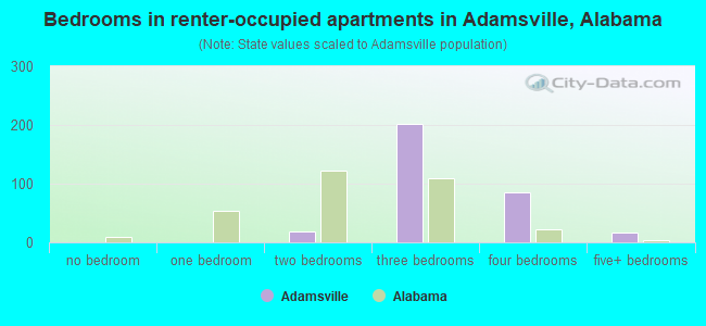 Bedrooms in renter-occupied apartments in Adamsville, Alabama