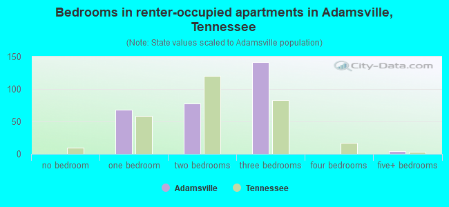 Bedrooms in renter-occupied apartments in Adamsville, Tennessee