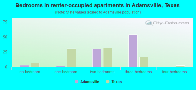 Bedrooms in renter-occupied apartments in Adamsville, Texas