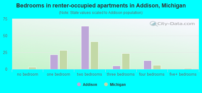 Bedrooms in renter-occupied apartments in Addison, Michigan