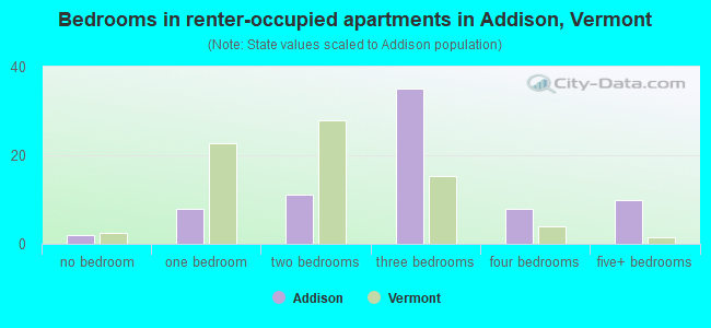 Bedrooms in renter-occupied apartments in Addison, Vermont