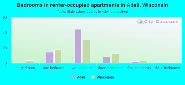 Bedrooms in renter-occupied apartments in Adell, Wisconsin
