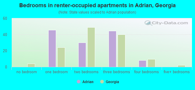 Bedrooms in renter-occupied apartments in Adrian, Georgia