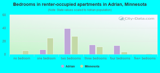 Bedrooms in renter-occupied apartments in Adrian, Minnesota