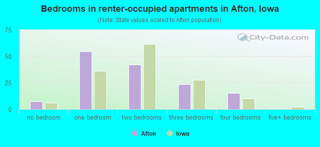 Bedrooms in renter-occupied apartments in Afton, Iowa