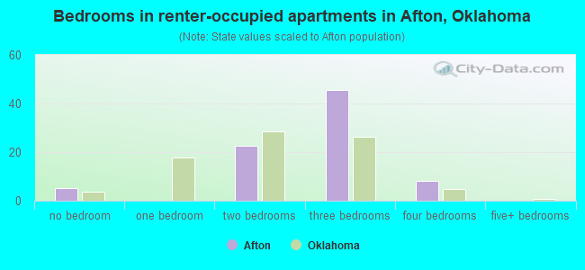 Bedrooms in renter-occupied apartments in Afton, Oklahoma