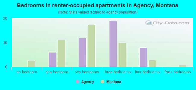 Bedrooms in renter-occupied apartments in Agency, Montana