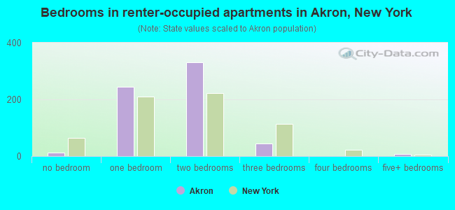 Bedrooms in renter-occupied apartments in Akron, New York