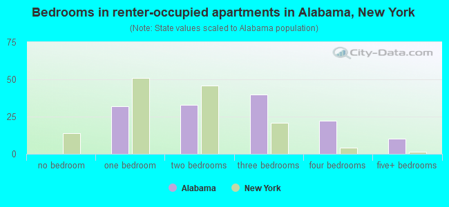 Bedrooms in renter-occupied apartments in Alabama, New York