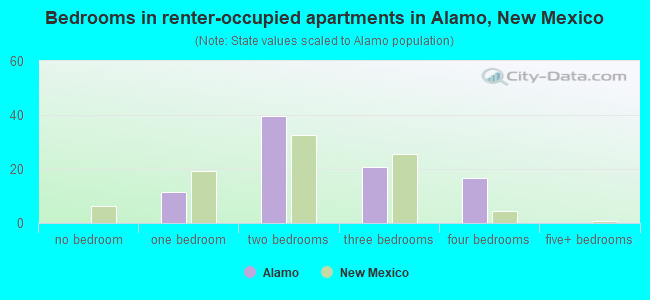 Bedrooms in renter-occupied apartments in Alamo, New Mexico