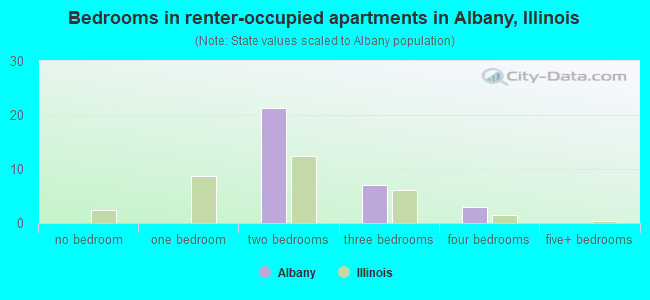 Bedrooms in renter-occupied apartments in Albany, Illinois