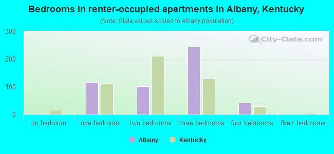 Bedrooms in renter-occupied apartments in Albany, Kentucky